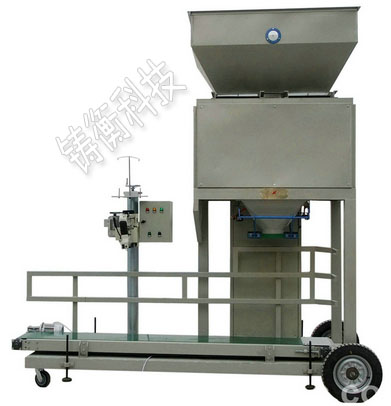 ��Ӷ�����